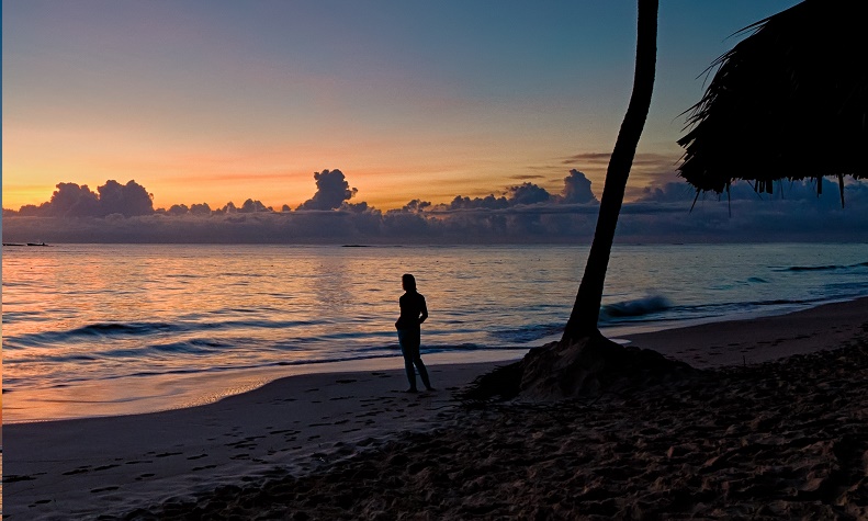 Joe desousa v2wbfsbeoew unsplash